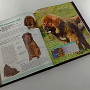 На память: Книга "Собаки" — книга для мужчины — фотография 5